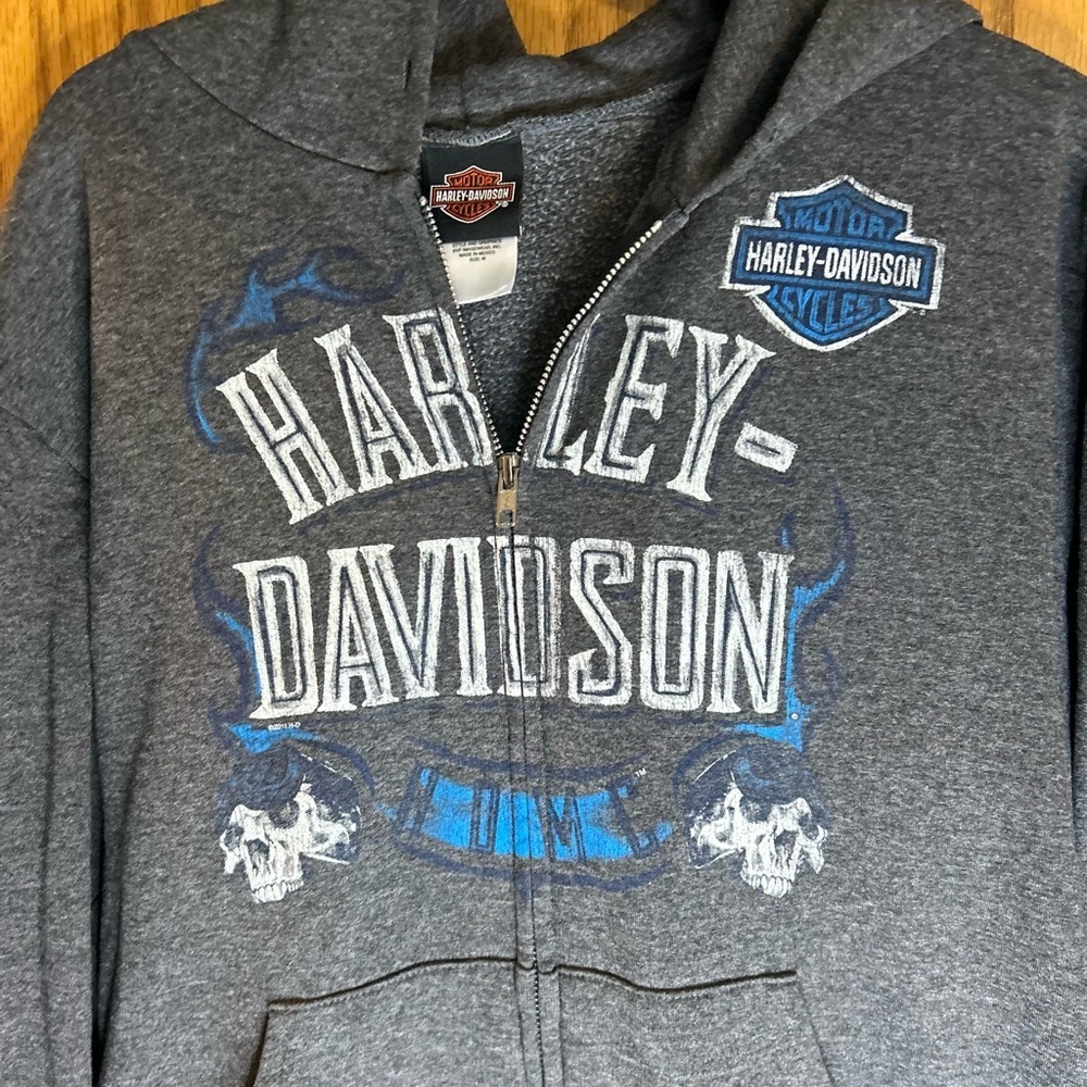 Harley Davidson Mt Rainier Seattle Washington Full Zip Hoodie Men’s M